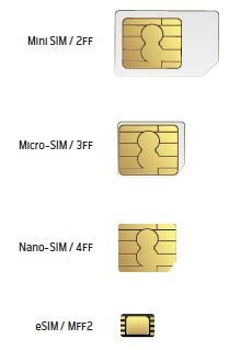 evolution of the SIM
