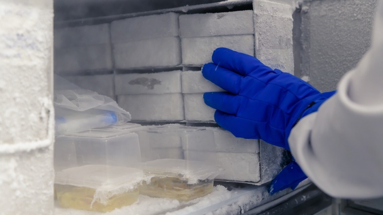 Deliver Value With Cold Chain Management